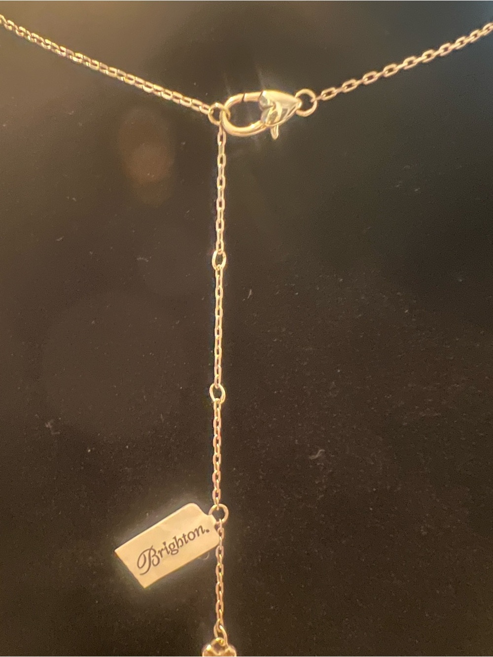 BRIGHTON NWT Butterfly Pendant Necklace in Silver with Mother-of-Pearl - Picture 5 of 7